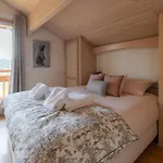 Vakantiehuis Chalet Taninges *